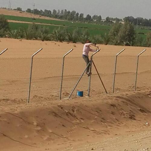 تركيب الشبوك