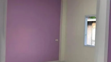 أصباغ داخلية بالشرقية