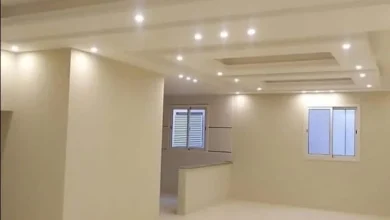 دهانات وأصباغ داخلية